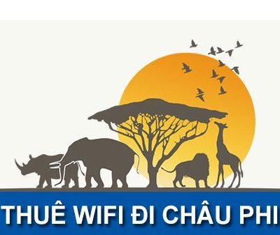 Cho thuê cục phát Wifi đi Châu Phi (Africa)