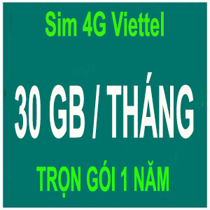 Sim 4G Viettel 30 GB/tháng Dung Lượng Tốc Độ Cao, Trọn Gói 1 Năm