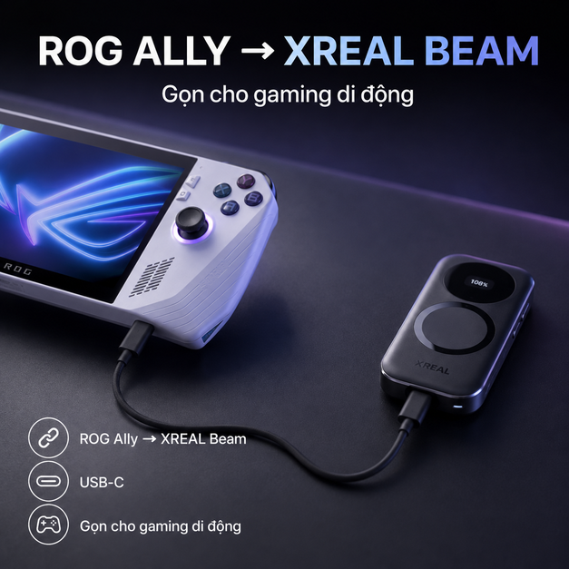 Cáp XREAL USB-C to USB-C 0.8 m