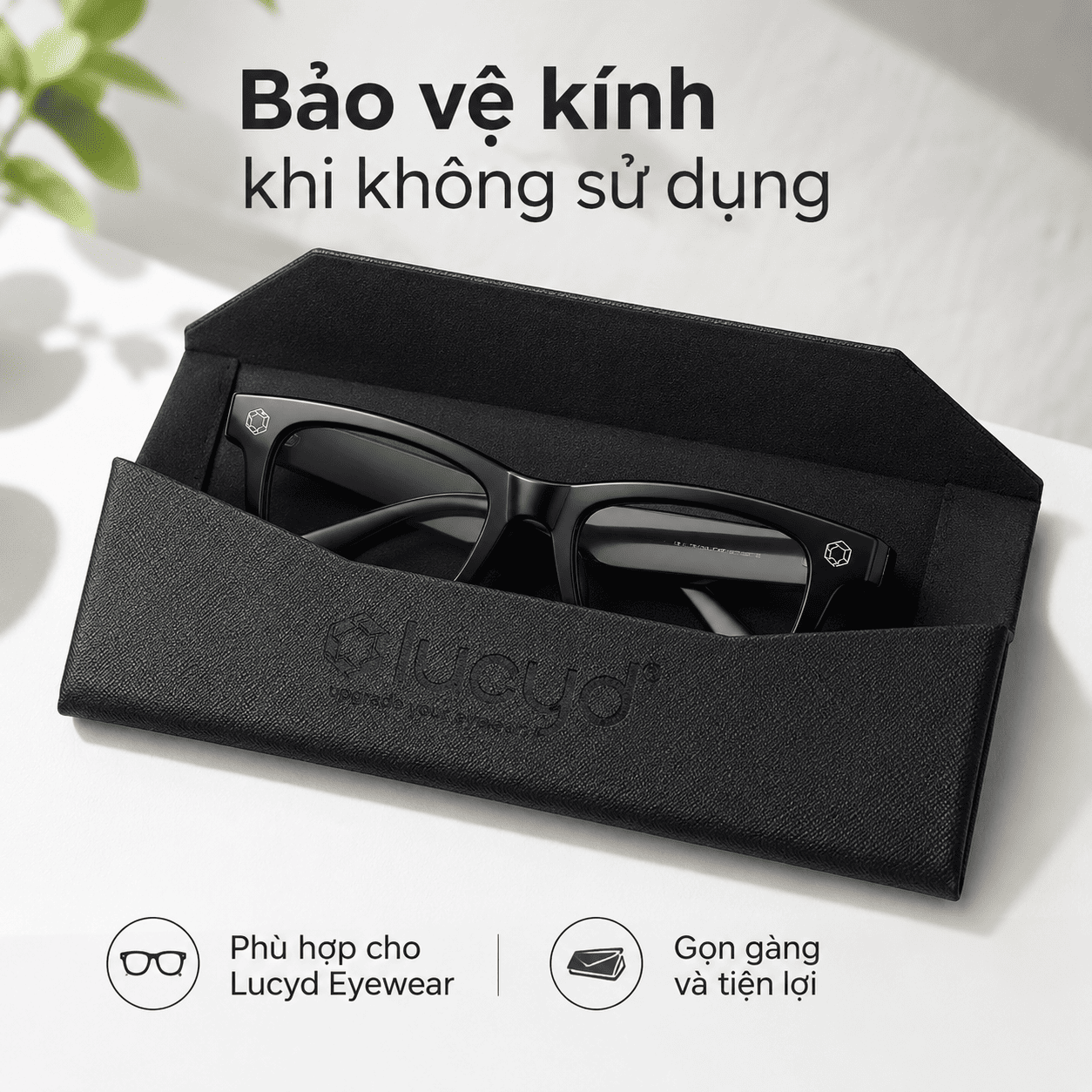 Hộp đựng kính gập phẳng Lucyd