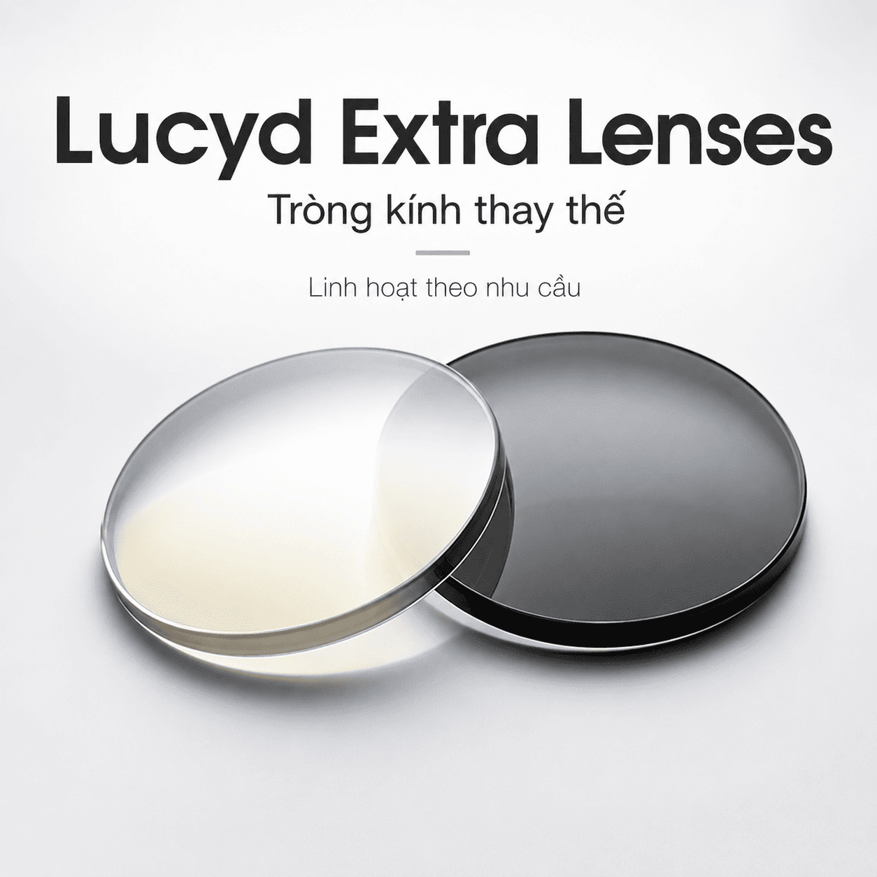 Tròng kính thay thế Lucyd